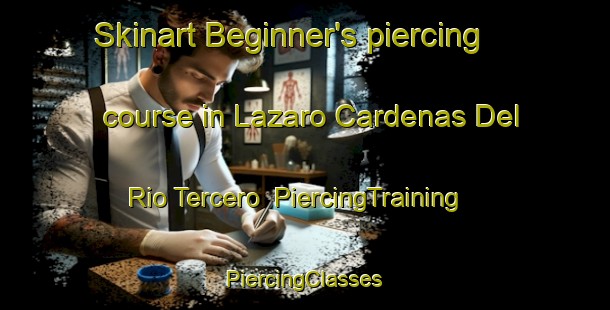 Skinart Beginner's piercing course in Lazaro Cardenas Del Rio Tercero | #PiercingTraining #PiercingClasses #SkinartTraining-Mexico