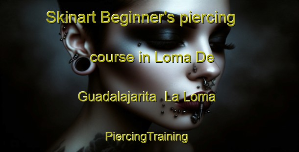 Skinart Beginner's piercing course in Loma De Guadalajarita  La Loma | #PiercingTraining #PiercingClasses #SkinartTraining-Mexico