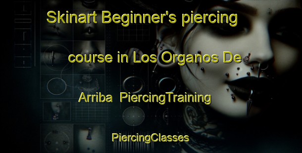 Skinart Beginner's piercing course in Los Organos De Arriba | #PiercingTraining #PiercingClasses #SkinartTraining-Mexico