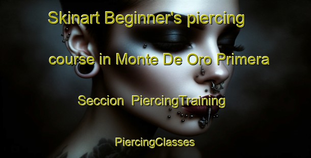 Skinart Beginner's piercing course in Monte De Oro Primera Seccion | #PiercingTraining #PiercingClasses #SkinartTraining-Mexico