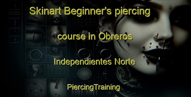 Skinart Beginner's piercing course in Obreros Independientes Norte | #PiercingTraining #PiercingClasses #SkinartTraining-Mexico