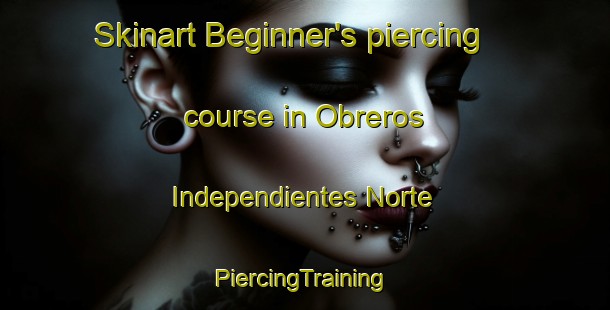 Skinart Beginner's piercing course in Obreros Independientes Norte | #PiercingTraining #PiercingClasses #SkinartTraining-Mexico