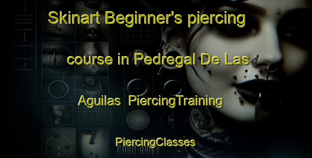 Skinart Beginner's piercing course in Pedregal De Las Aguilas | #PiercingTraining #PiercingClasses #SkinartTraining-Mexico