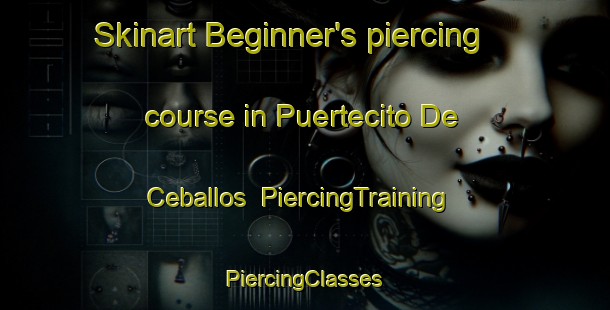 Skinart Beginner's piercing course in Puertecito De Ceballos | #PiercingTraining #PiercingClasses #SkinartTraining-Mexico