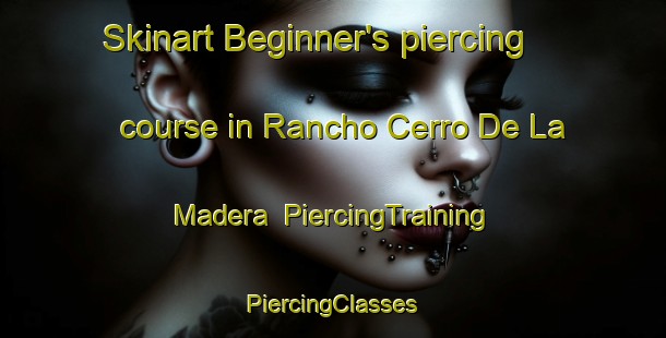 Skinart Beginner's piercing course in Rancho Cerro De La Madera | #PiercingTraining #PiercingClasses #SkinartTraining-Mexico