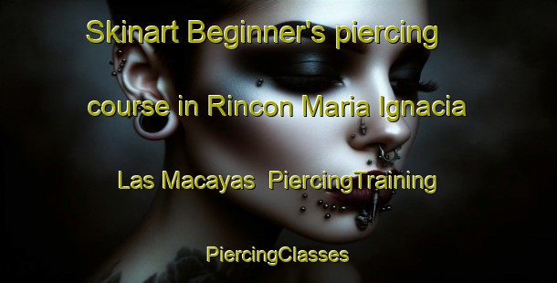 Skinart Beginner's piercing course in Rincon Maria Ignacia  Las Macayas | #PiercingTraining #PiercingClasses #SkinartTraining-Mexico