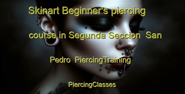 Skinart Beginner's piercing course in Segunda Seccion  San Pedro | #PiercingTraining #PiercingClasses #SkinartTraining-Mexico