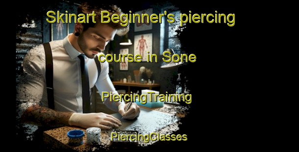 Skinart Beginner's piercing course in Sone | #PiercingTraining #PiercingClasses #SkinartTraining-Mexico