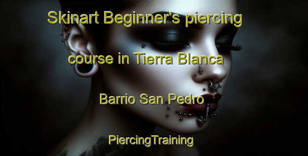 Skinart Beginner's piercing course in Tierra Blanca  Barrio San Pedro | #PiercingTraining #PiercingClasses #SkinartTraining-Mexico