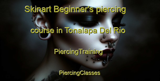 Skinart Beginner's piercing course in Tonalapa Del Rio | #PiercingTraining #PiercingClasses #SkinartTraining-Mexico