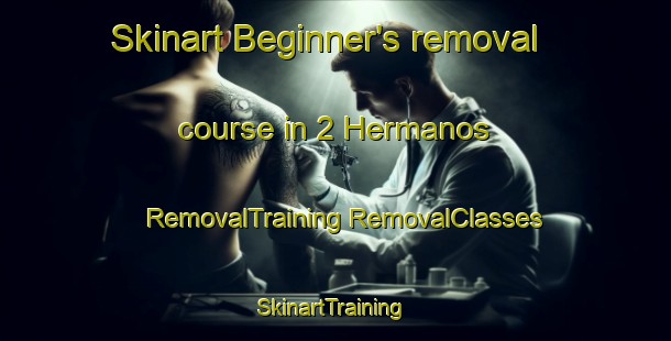 Skinart Beginner's removal course in 2 Hermanos | #RemovalTraining #RemovalClasses #SkinartTraining-Mexico