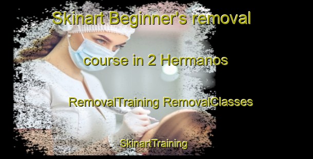 Skinart Beginner's removal course in 2 Hermanos | #RemovalTraining #RemovalClasses #SkinartTraining-Mexico