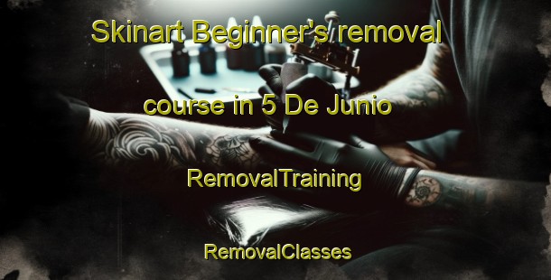Skinart Beginner's removal course in 5 De Junio | RemovalTraining | RemovalClasses | SkinartTraining-Mexico