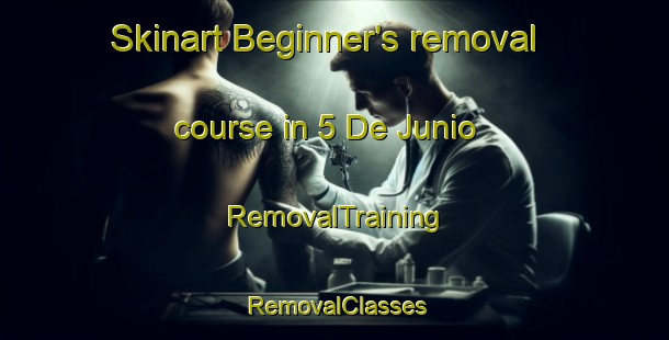 Skinart Beginner's removal course in 5 De Junio | RemovalTraining | RemovalClasses | SkinartTraining-Mexico