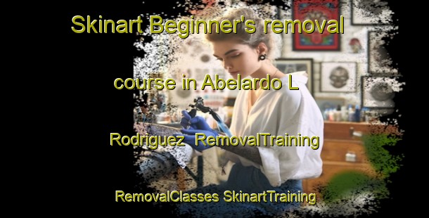 Skinart Beginner's removal course in Abelardo L  Rodriguez | #RemovalTraining #RemovalClasses #SkinartTraining-Mexico