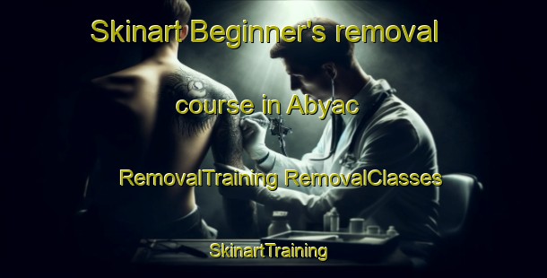 Skinart Beginner's removal course in Abyac | #RemovalTraining #RemovalClasses #SkinartTraining-Mexico