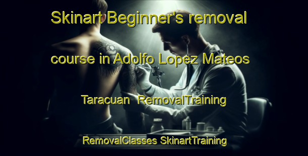 Skinart Beginner's removal course in Adolfo Lopez Mateos  Taracuan | #RemovalTraining #RemovalClasses #SkinartTraining-Mexico