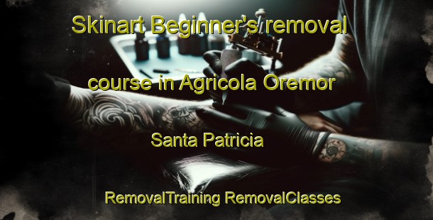 Skinart Beginner's removal course in Agricola Oremor  Santa Patricia | #RemovalTraining #RemovalClasses #SkinartTraining-Mexico