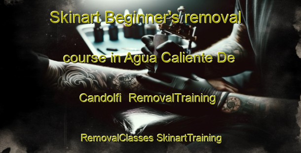 Skinart Beginner's removal course in Agua Caliente De Candolfi | #RemovalTraining #RemovalClasses #SkinartTraining-Mexico