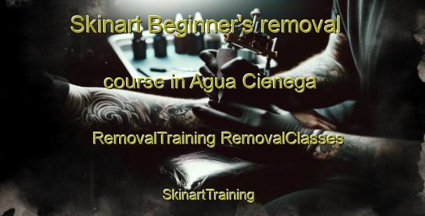 Skinart Beginner's removal course in Agua Cienega | #RemovalTraining #RemovalClasses #SkinartTraining-Mexico