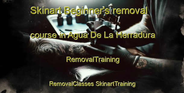 Skinart Beginner's removal course in Agua De La Herradura | #RemovalTraining #RemovalClasses #SkinartTraining-Mexico