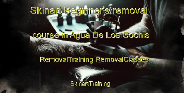 Skinart Beginner's removal course in Agua De Los Cochis | #RemovalTraining #RemovalClasses #SkinartTraining-Mexico