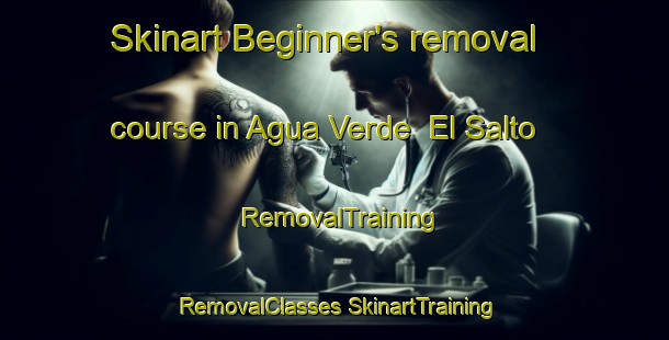 Skinart Beginner's removal course in Agua Verde  El Salto | #RemovalTraining #RemovalClasses #SkinartTraining-Mexico