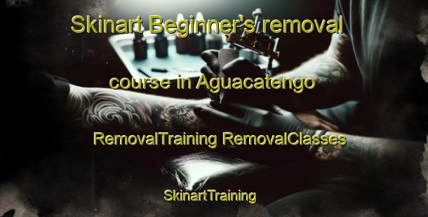 Skinart Beginner's removal course in Aguacatengo | #RemovalTraining #RemovalClasses #SkinartTraining-Mexico