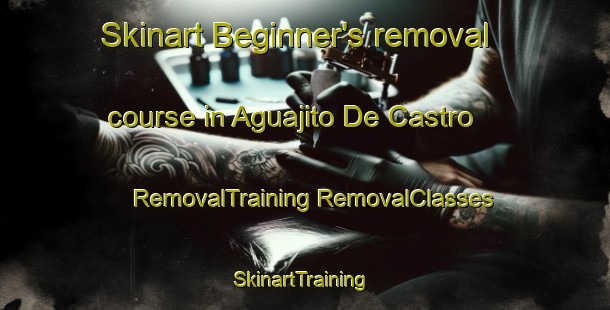 Skinart Beginner's removal course in Aguajito De Castro | #RemovalTraining #RemovalClasses #SkinartTraining-Mexico