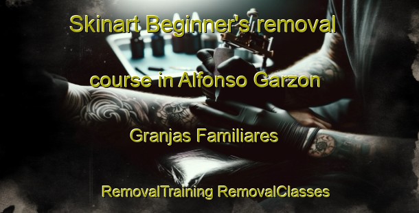 Skinart Beginner's removal course in Alfonso Garzon  Granjas Familiares | #RemovalTraining #RemovalClasses #SkinartTraining-Mexico