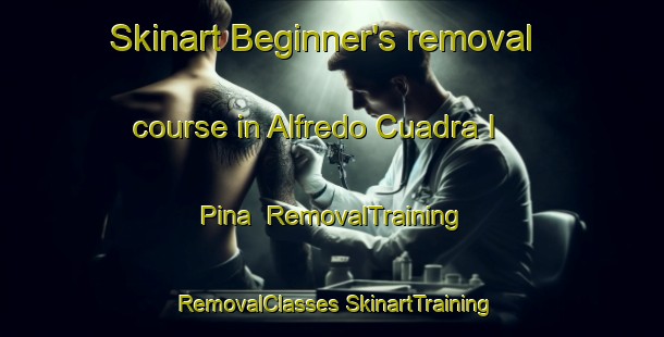 Skinart Beginner's removal course in Alfredo Cuadra I  Pina | #RemovalTraining #RemovalClasses #SkinartTraining-Mexico