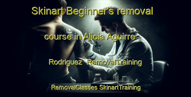 Skinart Beginner's removal course in Alicia Aguirre Rodriguez | #RemovalTraining #RemovalClasses #SkinartTraining-Mexico