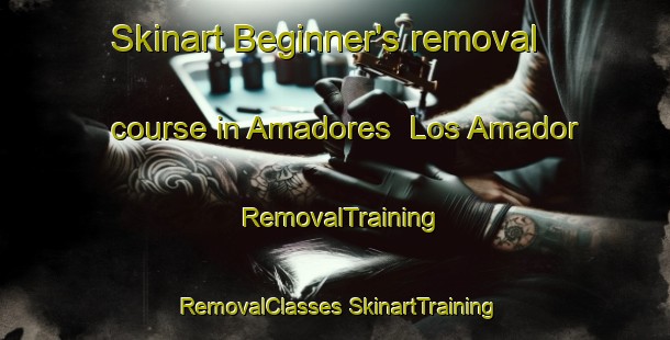 Skinart Beginner's removal course in Amadores  Los Amador | #RemovalTraining #RemovalClasses #SkinartTraining-Mexico