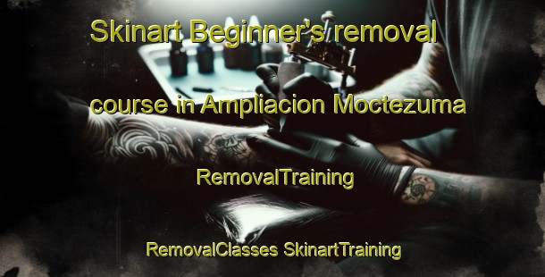 Skinart Beginner's removal course in Ampliacion Moctezuma | #RemovalTraining #RemovalClasses #SkinartTraining-Mexico