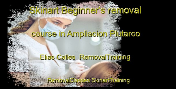 Skinart Beginner's removal course in Ampliacion Plutarco Elias Calles | #RemovalTraining #RemovalClasses #SkinartTraining-Mexico