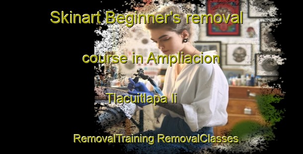 Skinart Beginner's removal course in Ampliacion Tlacuitlapa Ii | #RemovalTraining #RemovalClasses #SkinartTraining-Mexico