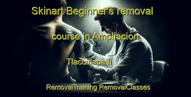 Skinart Beginner's removal course in Ampliacion Tlacuitlapa Ii | #RemovalTraining #RemovalClasses #SkinartTraining-Mexico