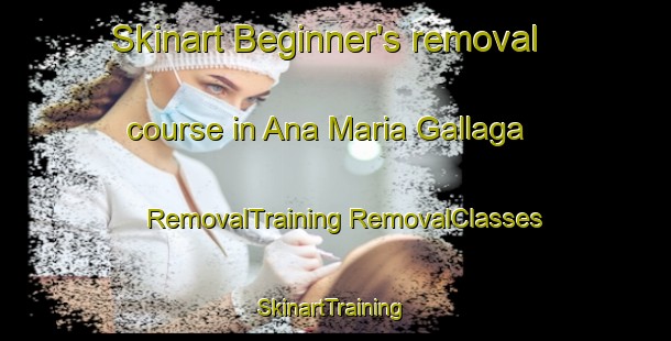 Skinart Beginner's removal course in Ana Maria Gallaga | #RemovalTraining #RemovalClasses #SkinartTraining-Mexico