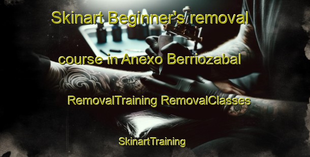 Skinart Beginner's removal course in Anexo Berriozabal | #RemovalTraining #RemovalClasses #SkinartTraining-Mexico