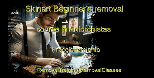 Skinart Beginner's removal course in Antorchistas  Fraccionamiento | #RemovalTraining #RemovalClasses #SkinartTraining-Mexico