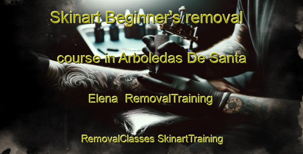 Skinart Beginner's removal course in Arboledas De Santa Elena | #RemovalTraining #RemovalClasses #SkinartTraining-Mexico