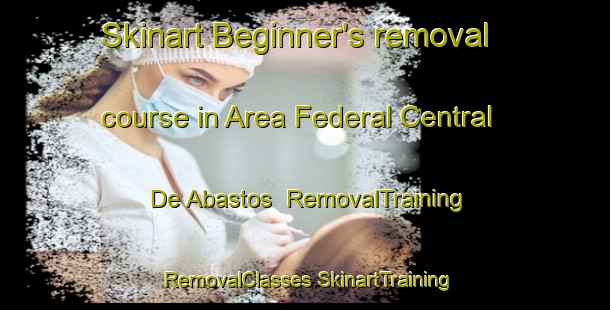 Skinart Beginner's removal course in Area Federal Central De Abastos | #RemovalTraining #RemovalClasses #SkinartTraining-Mexico