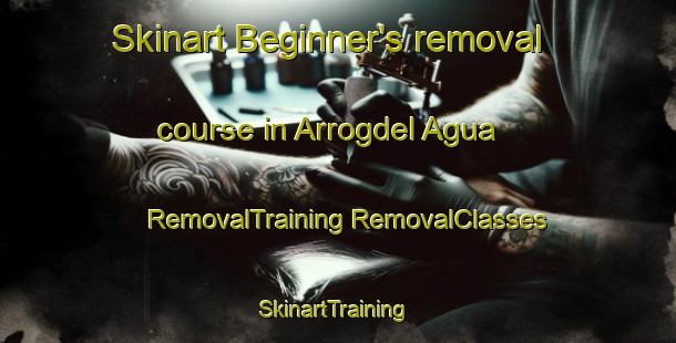 Skinart Beginner's removal course in Arrogdel Agua | #RemovalTraining #RemovalClasses #SkinartTraining-Mexico