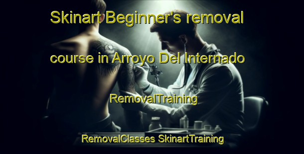 Skinart Beginner's removal course in Arroyo Del Internado | #RemovalTraining #RemovalClasses #SkinartTraining-Mexico