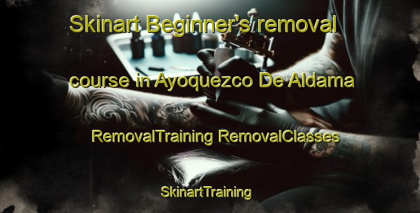 Skinart Beginner's removal course in Ayoquezco De Aldama | #RemovalTraining #RemovalClasses #SkinartTraining-Mexico