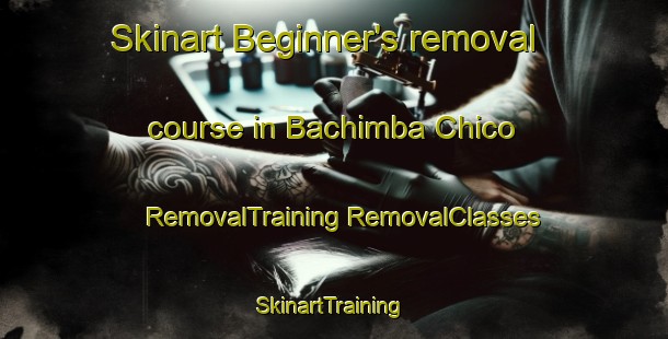 Skinart Beginner's removal course in Bachimba Chico | #RemovalTraining #RemovalClasses #SkinartTraining-Mexico