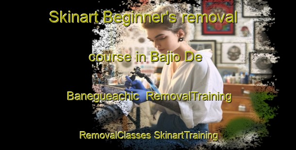 Skinart Beginner's removal course in Bajio De Banegueachic | #RemovalTraining #RemovalClasses #SkinartTraining-Mexico