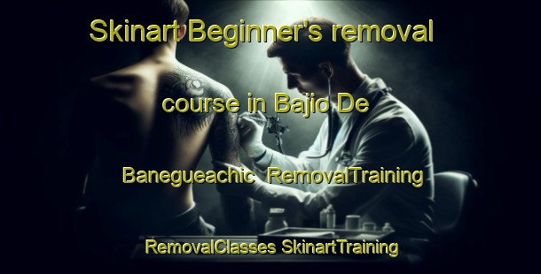 Skinart Beginner's removal course in Bajio De Banegueachic | #RemovalTraining #RemovalClasses #SkinartTraining-Mexico