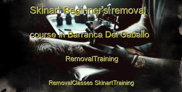 Skinart Beginner's removal course in Barranca Del Caballo | #RemovalTraining #RemovalClasses #SkinartTraining-Mexico