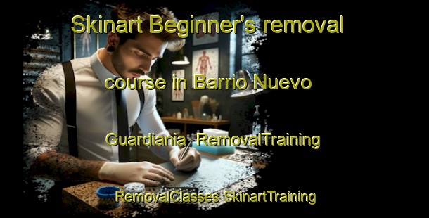 Skinart Beginner's removal course in Barrio Nuevo  Guardiania | #RemovalTraining #RemovalClasses #SkinartTraining-Mexico